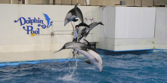 登別マリンパークニクス（水族館）